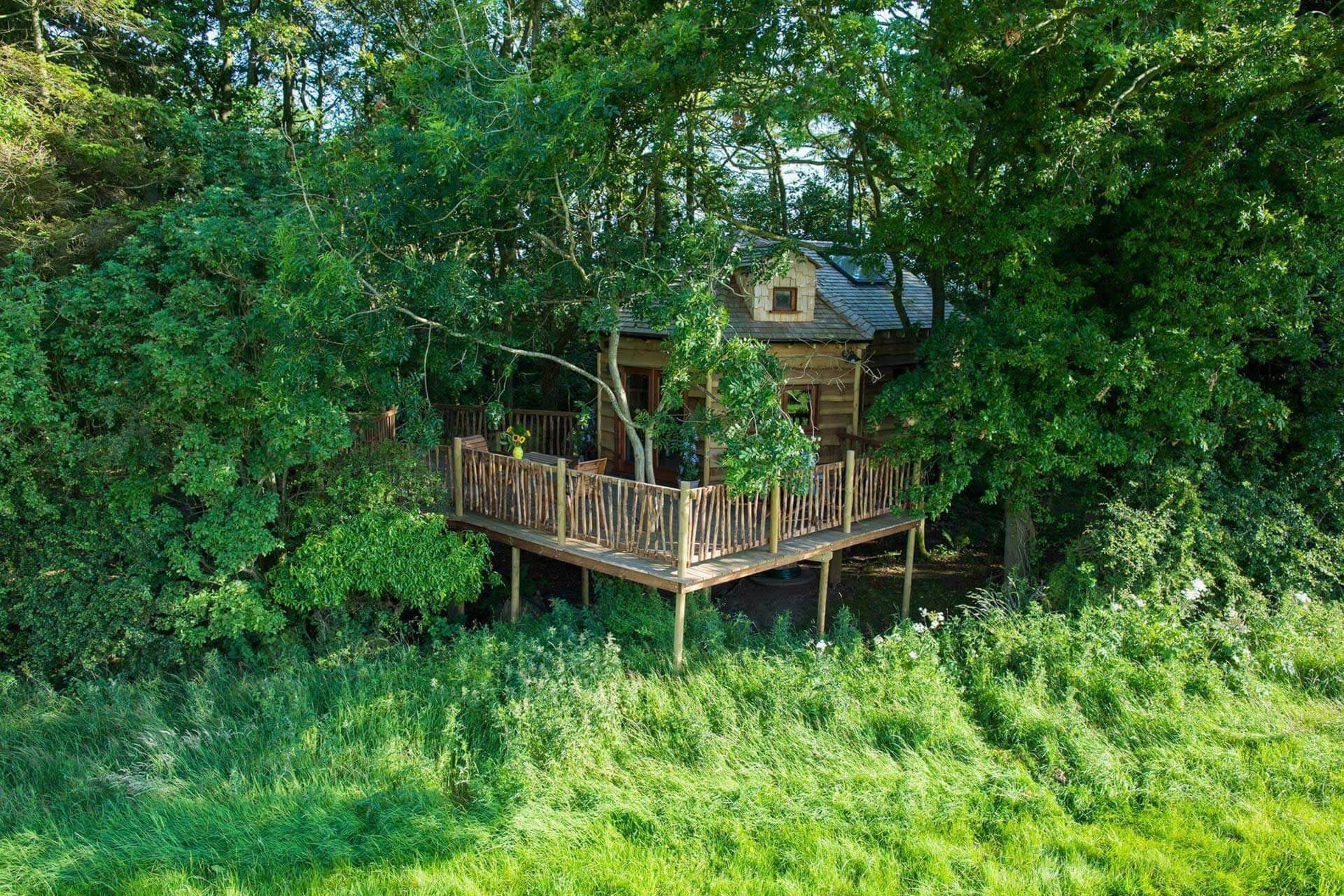 Woodland Chase Glamping The Treehouse Northumberland