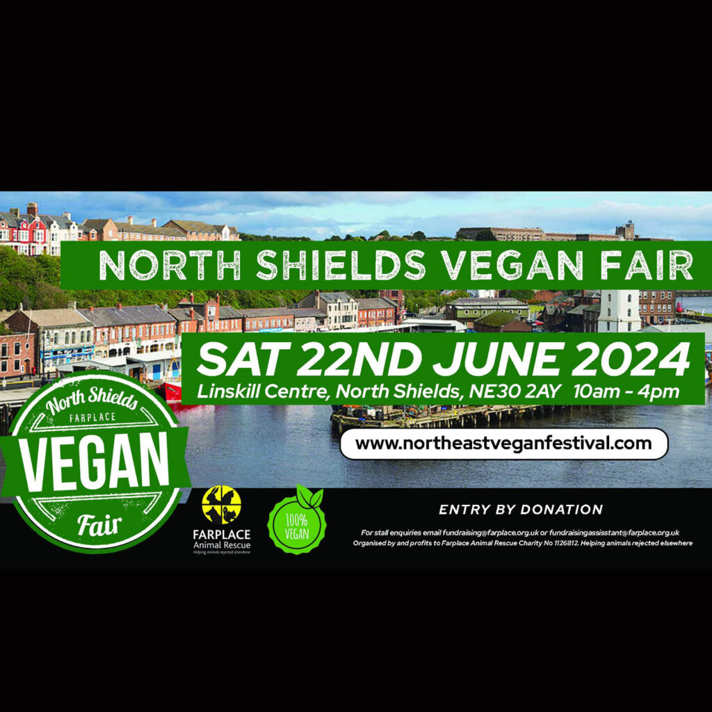 North Shields Vegan Fair - Linskill Centre | What's On | High Life
