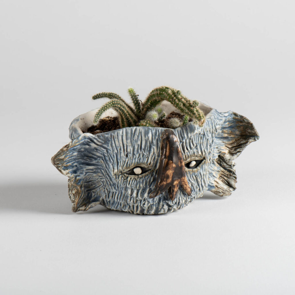 A ceramic grey plant pot shaped like a monster head. The clay has been textured with hair and beady black eyes peer out on either side of a long bulbous nose. Inside, a multi-armed cactus grows. This is one of the pots you can make at the BALTIC's Monster Head Plant Pot Workshop.