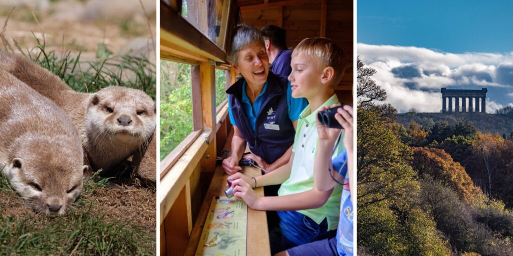 Looking for things to do with family this Easter? This activity trail is a must