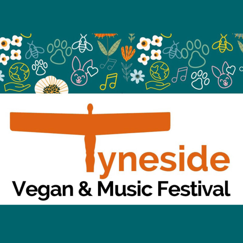 Photo for Tyneside Vegan and Music Festival. A teal background is covered in small illustrations of pawprints and animal faces. Below it against a white strip, the T of Tyneside is displayed as an orange angel of the north. The rest of the text reads Tyneside Vegan and Music Festival.