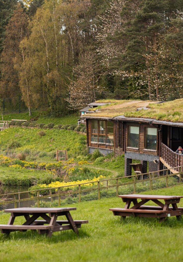 Washington Wetland Centre