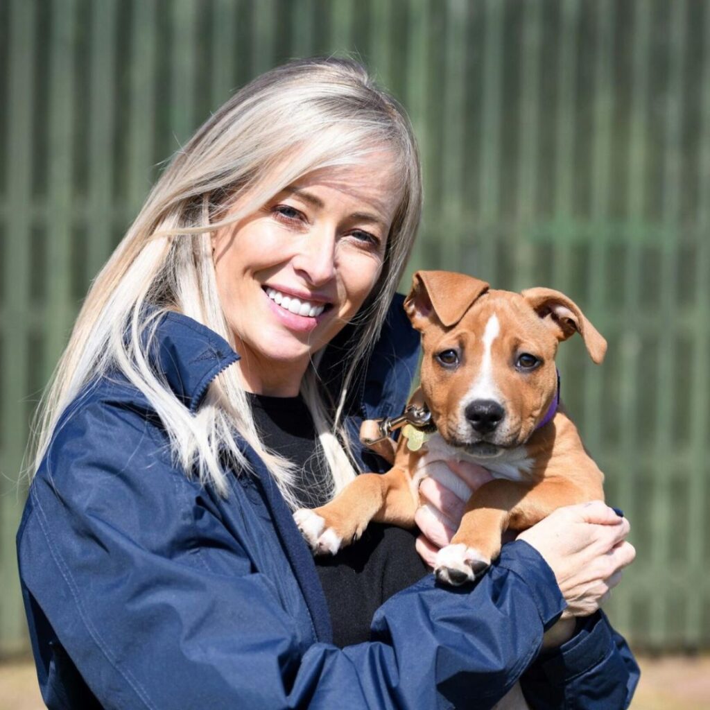 Newcastle Dog and Cat Shelter volunteering