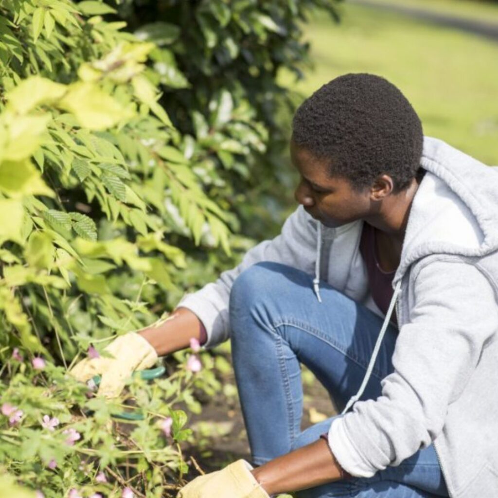 Urban Green Volunteering Newcastle