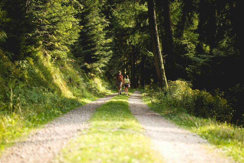 What is Forest Bathing and where can you do it in the North East?