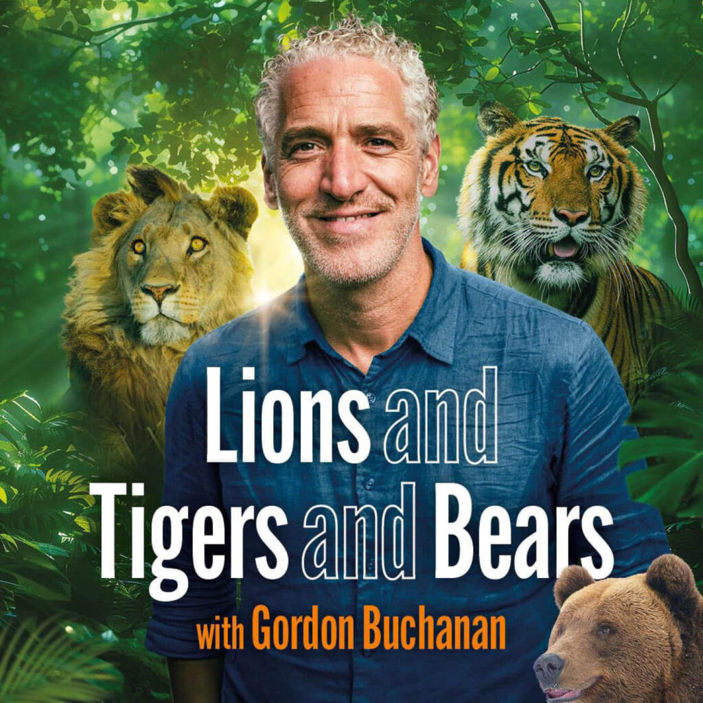 Gordon Buchanan, a white man with grey hair and blue shirt, stands against a jungle background. A lion, tiger and bear lurk around him. Overlaid text says Lions, Tigers and Bears.