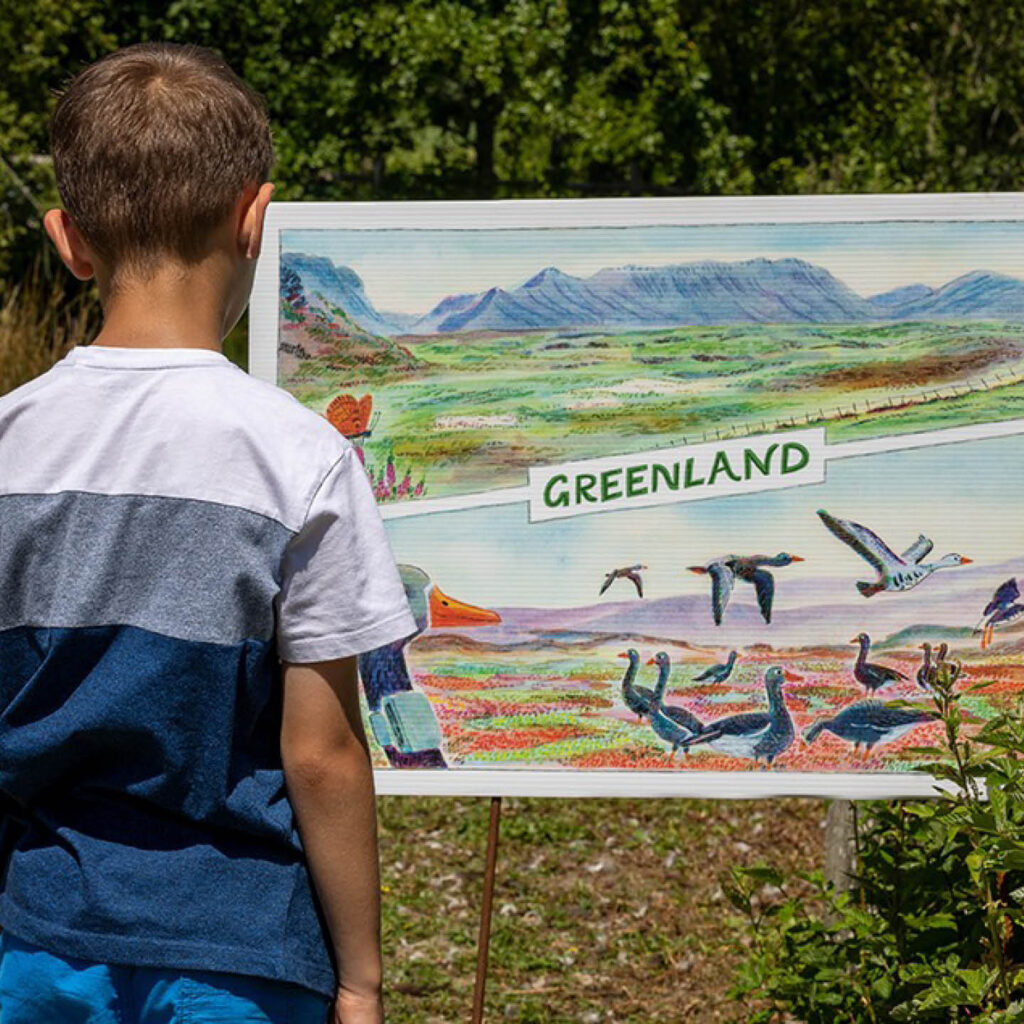 A little boy stands in front of a huge postcard featuring a landscape drawing of hills and birds in Greenland. It is part of the Summer Postcard Trail at Washington Wetland Centre.