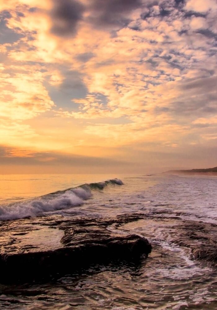 Uncovering Northumberland’s Hidden Gems with Roots.Northumberland