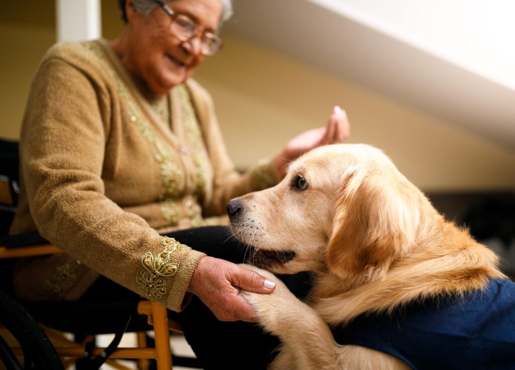 We meet the charity that takes dogs to befriend older dog lovers in their homes – and find out how you can get involved with Wag & Co