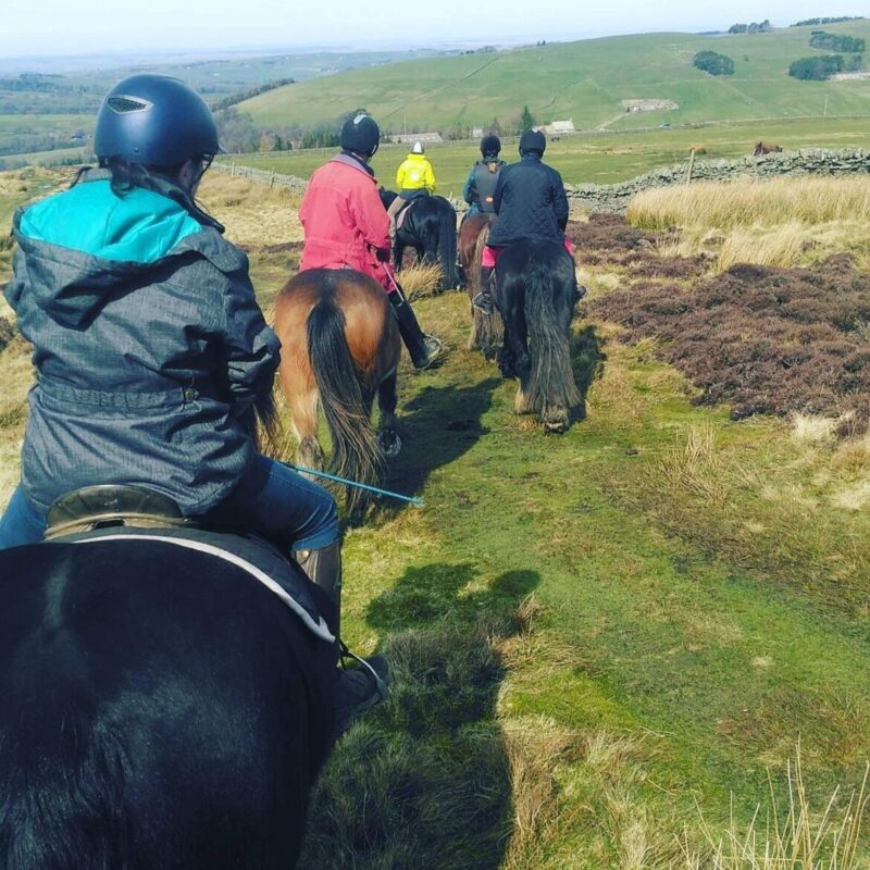 Sinderhope Pony Trekking Centre 