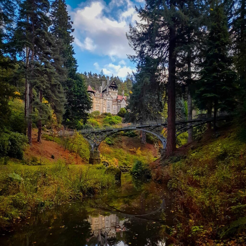 5 scenic autumn days out ideas in the North East