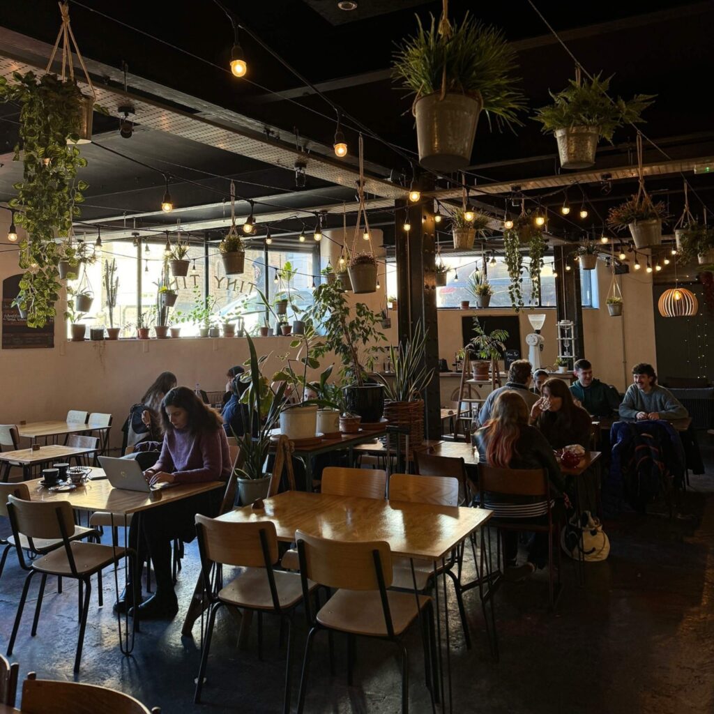 19 dog-friendly restaurants, cafes, bars and pubs that we love in Newcastle and beyond