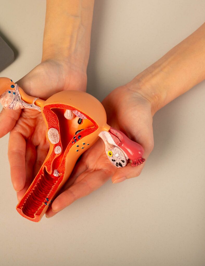 egg-freezing-explained-is-it-the-right-move-for-you-high-life-north