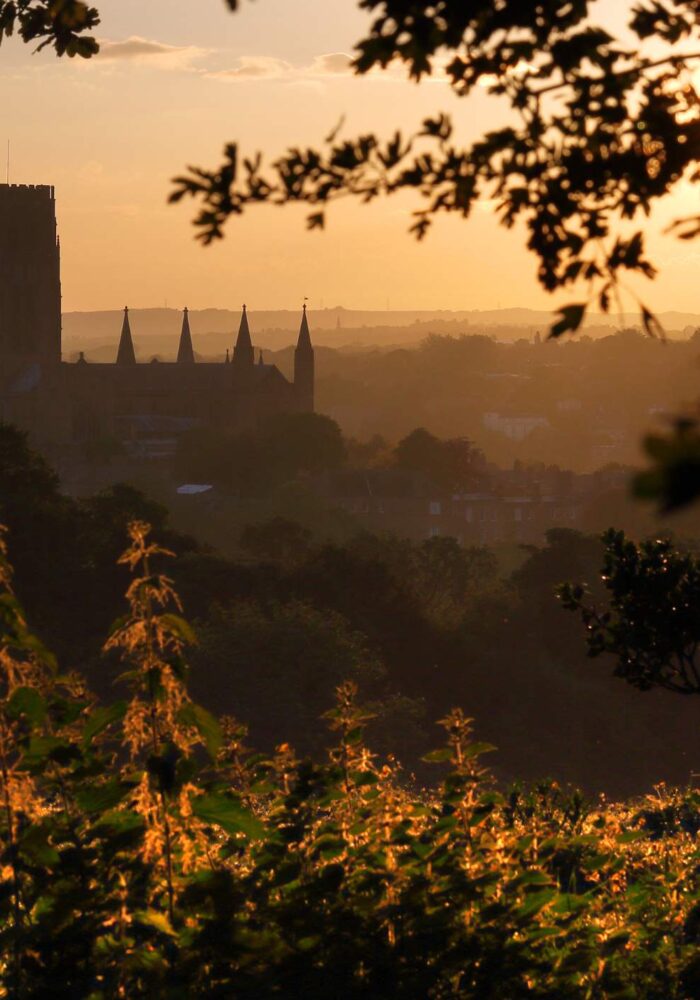 5 scenic autumn days out ideas in the North East