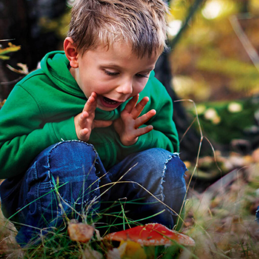 A young boy wearing a green hoodie crouches down in the grass at Washington Wetland Centre. The leaves are turning orange around him. He pulls a scary face at a red toadstool in the grass before him.