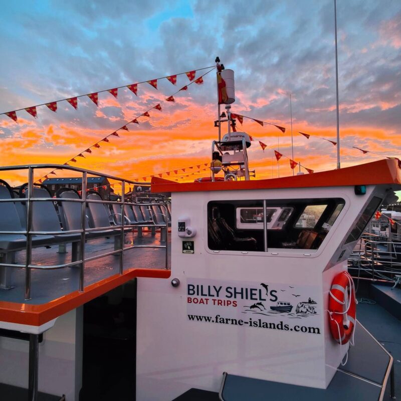Billy Shiel’s Farne Island Tours 