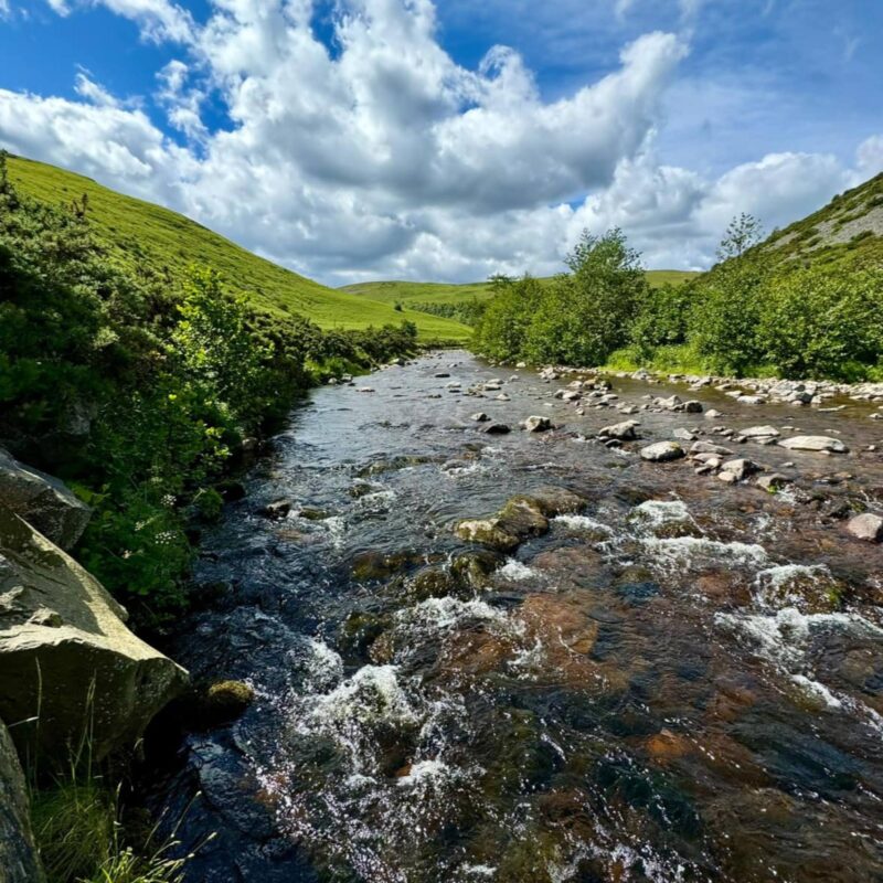 Ingram Valley