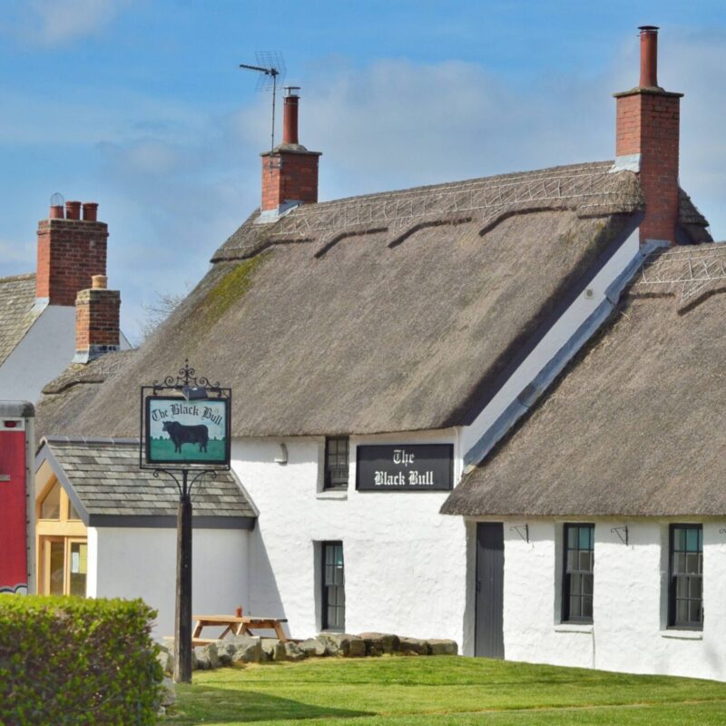 The Black Bull