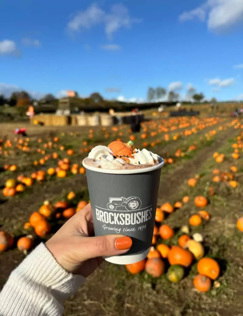 Free days out in the North East