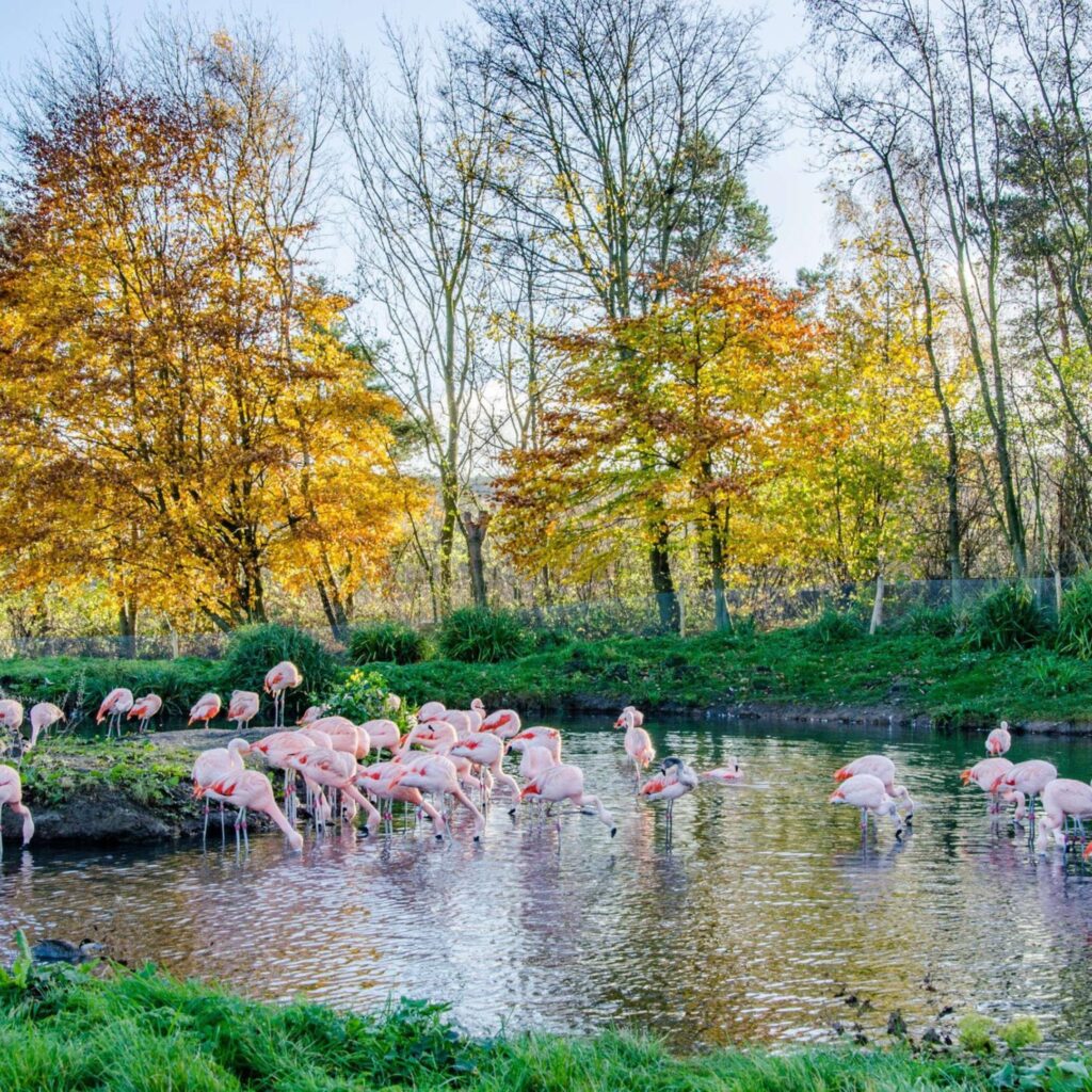 Washington Wetland Centre