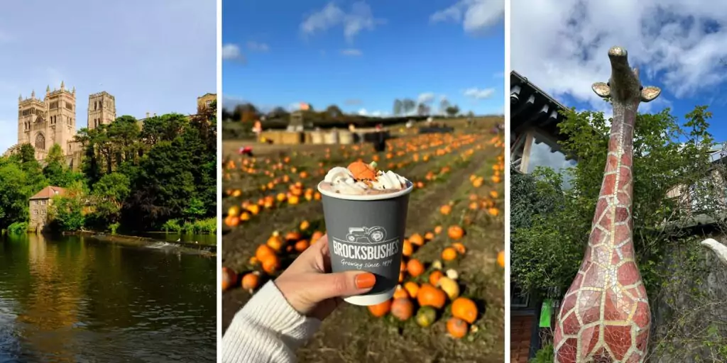 Free days out in the North East