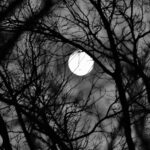 A round-up of some spooky tales and legends from across the North East.