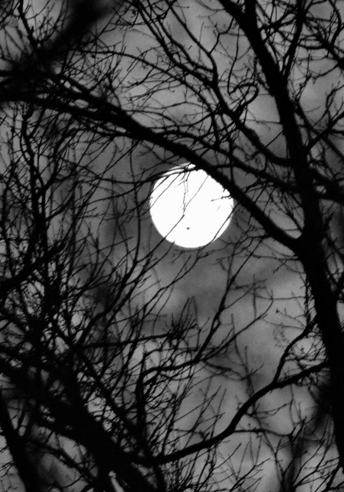 A round-up of some spooky tales and legends from across the North East.