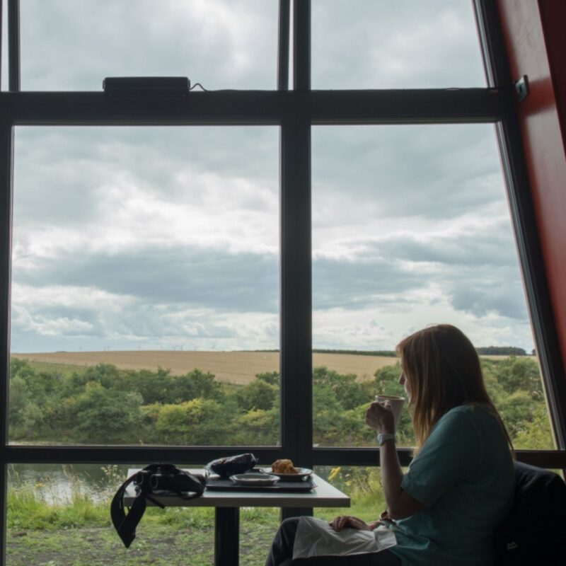 Hauxley Wildlife Discovery Centre