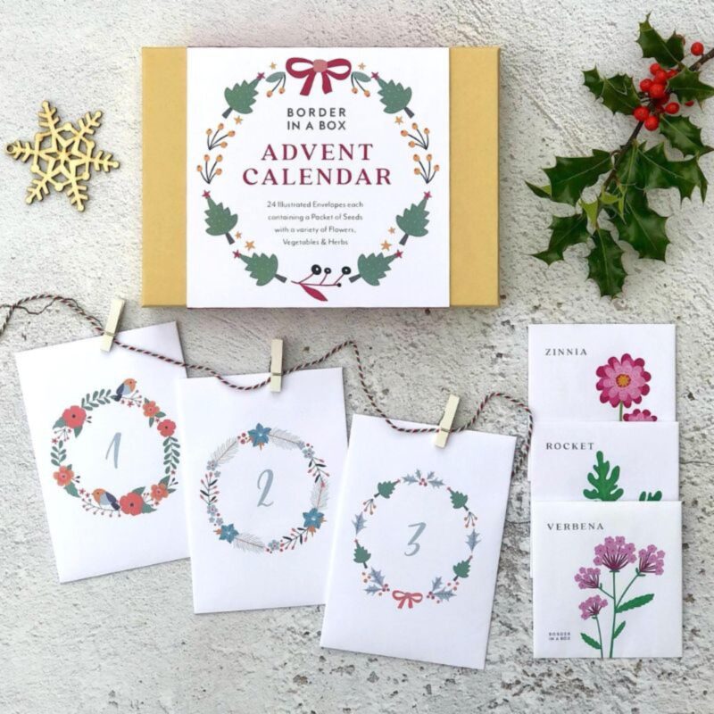 Border in a Box Seed Advent Calendar - £49.99 