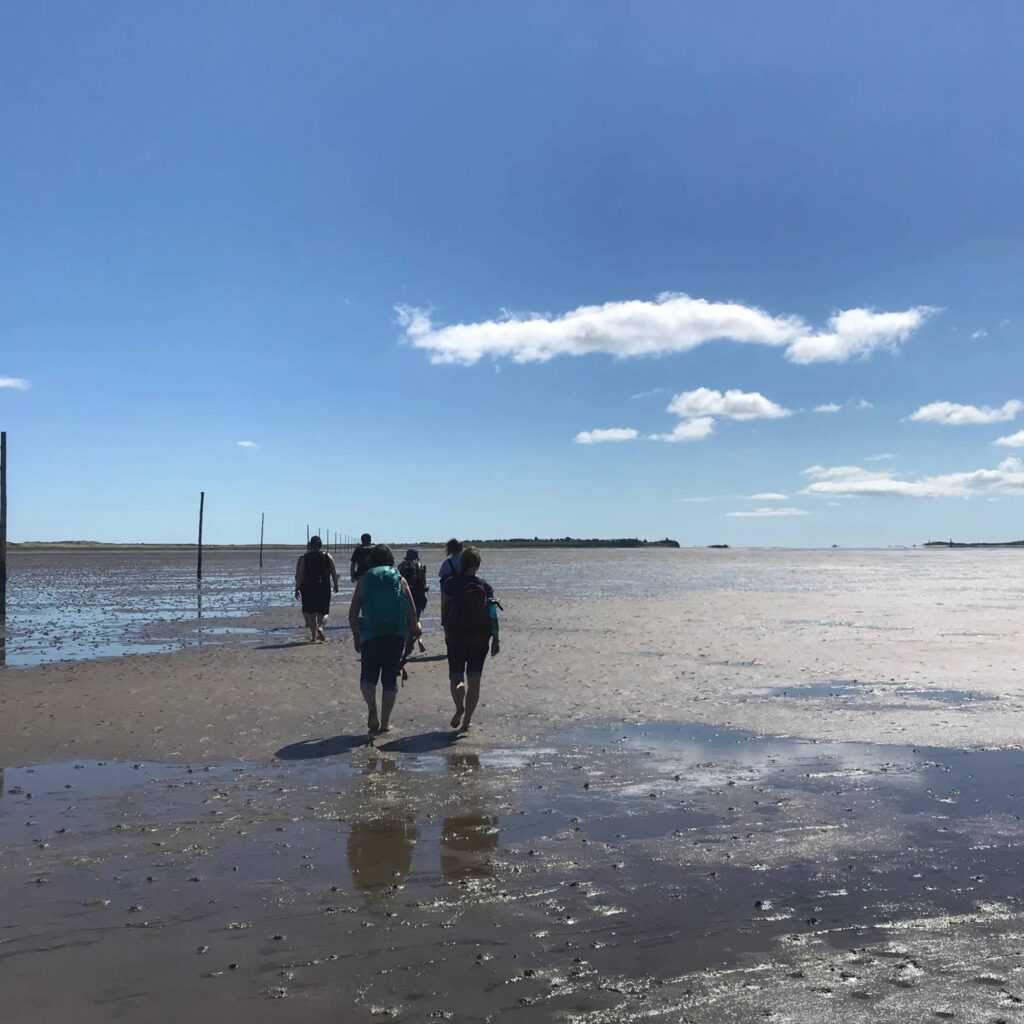The Pilgrim’s Walk to Holy Island