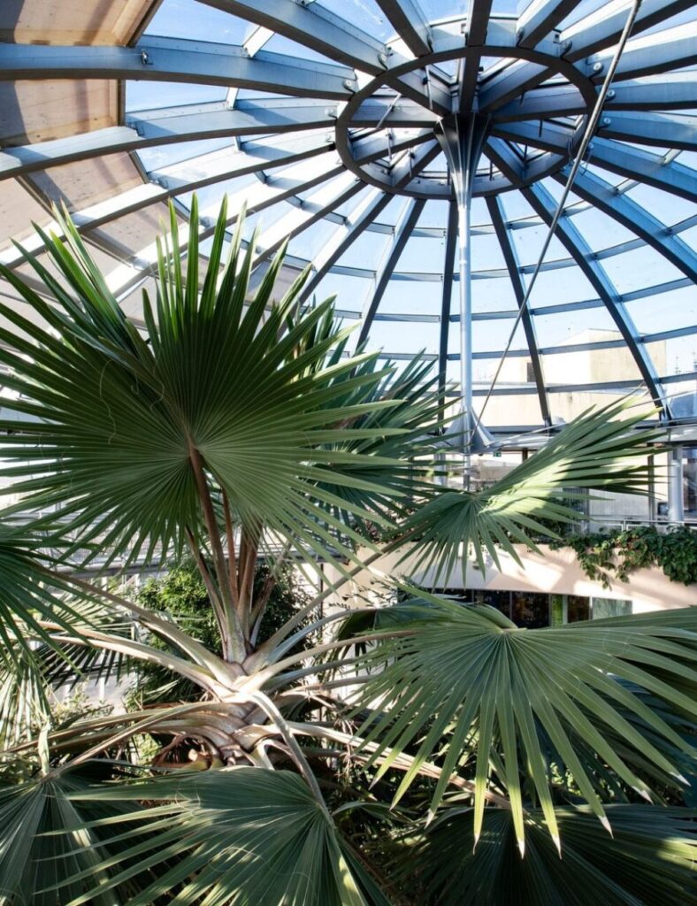 Sunderland Winter Gardens