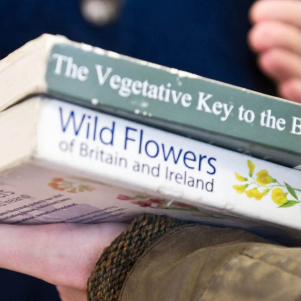 A person holds two preloved nature books in their hand.