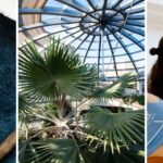 14 wholesome and cheap Sunday activity ideas in the North East