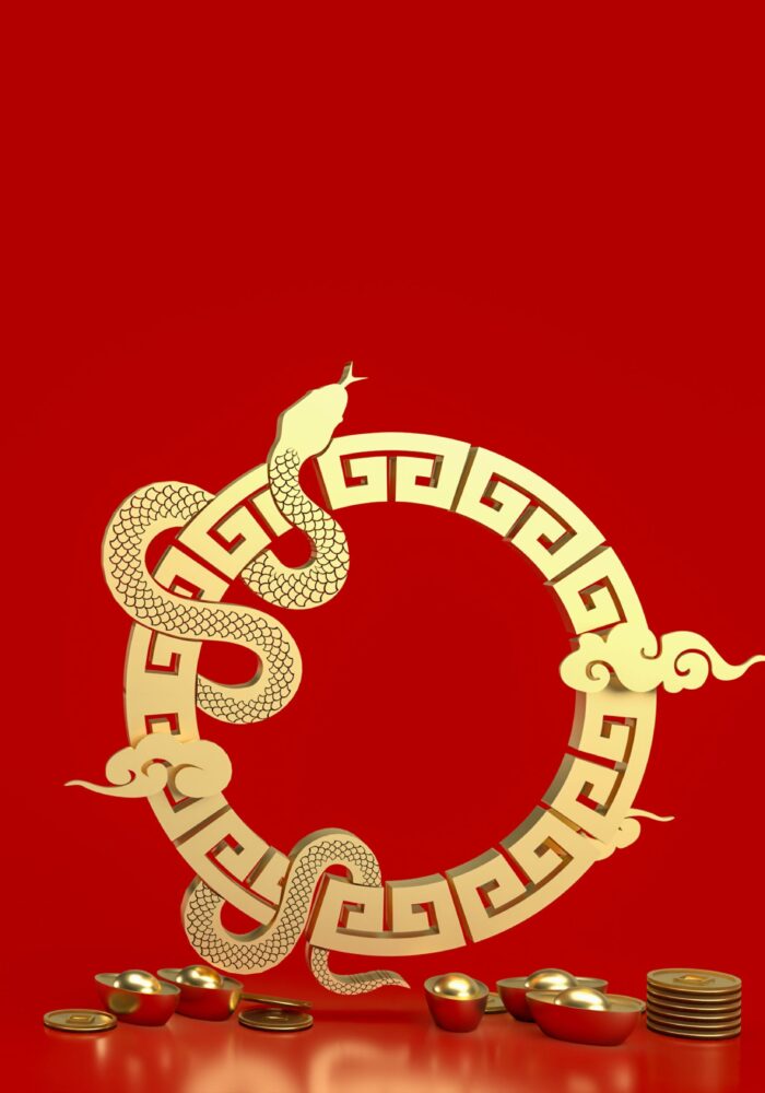 Chinese New Year 2025