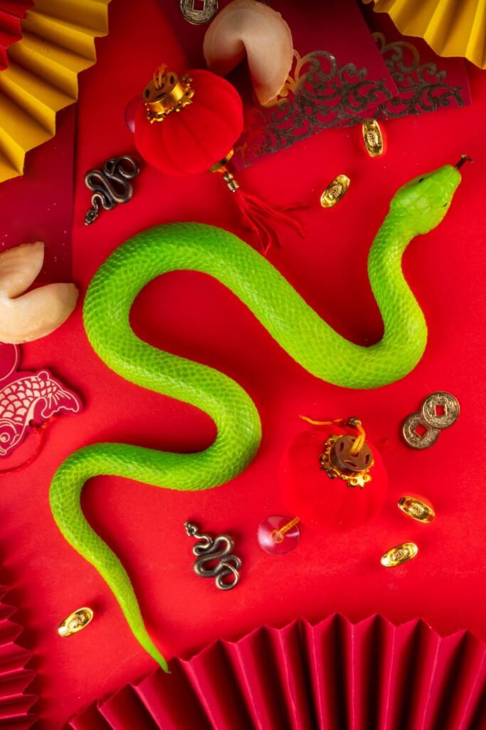 Chinese New Year 2025 Year of the Wood Snake