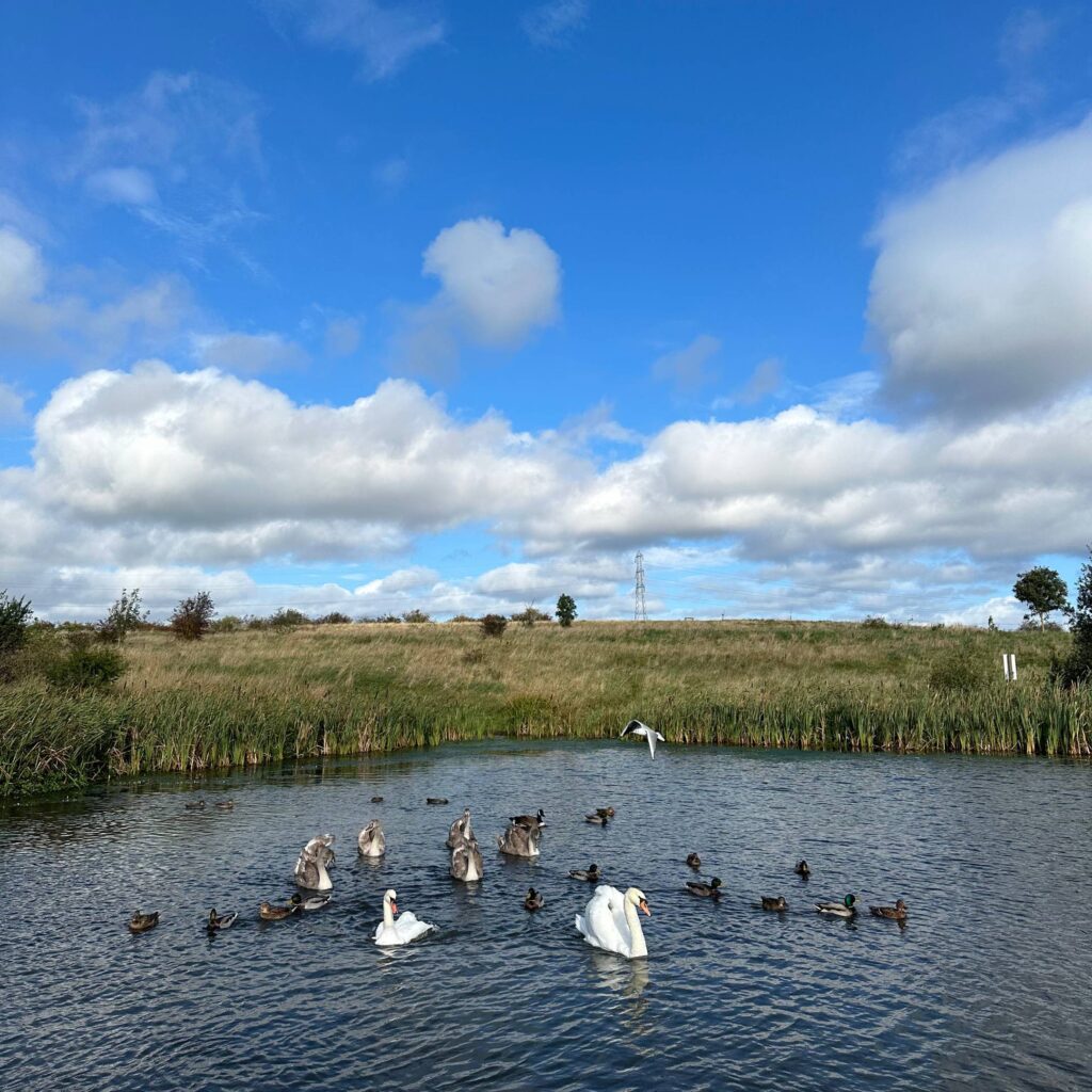 RISING SUN COUNTRY PARK