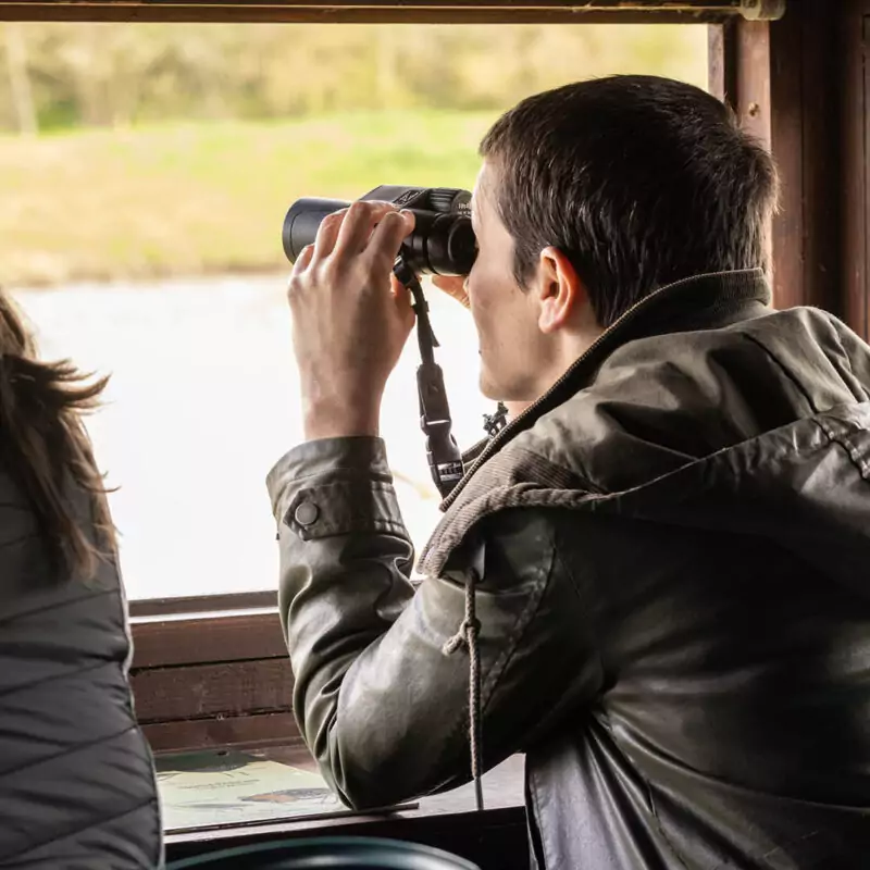 A person with short dark hair and a leather jacket looks through a pair of binoculars. They stand behind a window in a bird hide at Washington Wetland Centre.