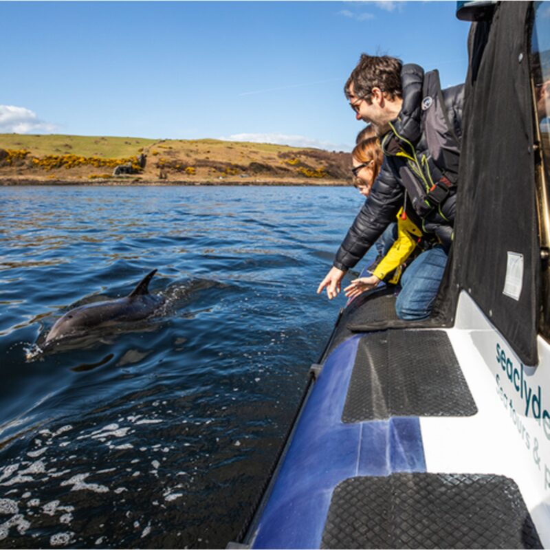 Sea Clyde Boat Trips