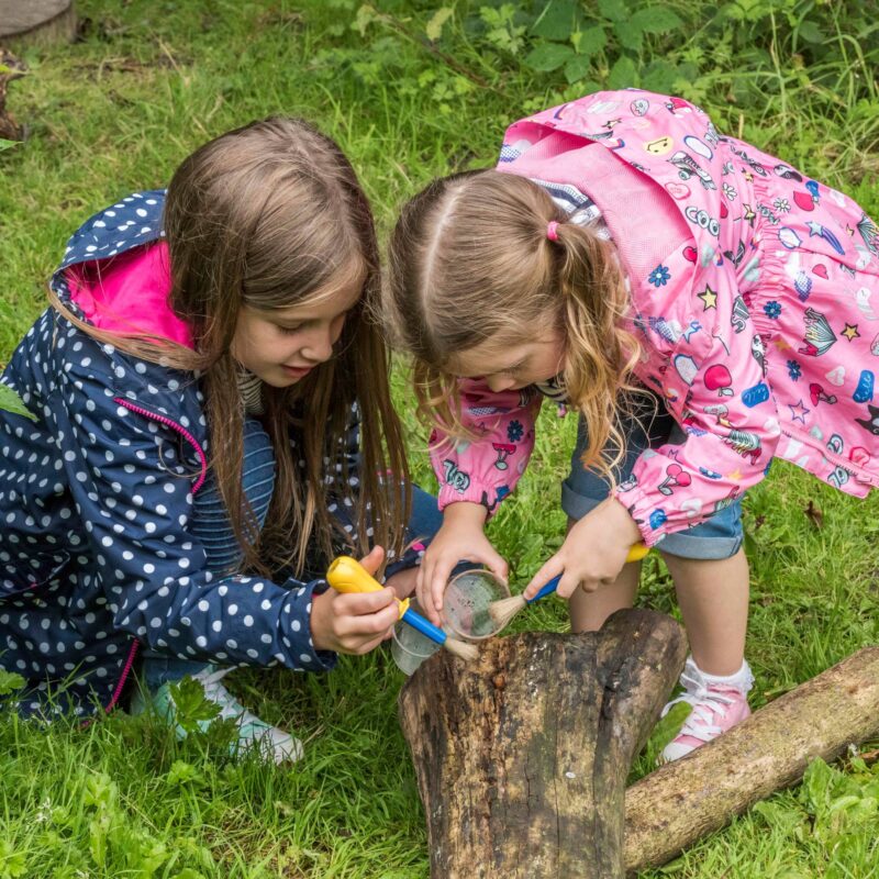 Two little girls in rain coats crouch down in the grass. They use tools to carefully examine the bugs on a piece of log at Washington Wetland Centre.