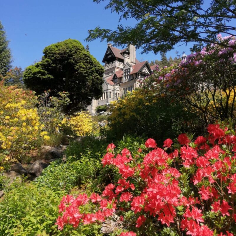 National Trust – Gift Membership - £96.00 per year 