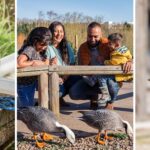 Washington Wetland Centre