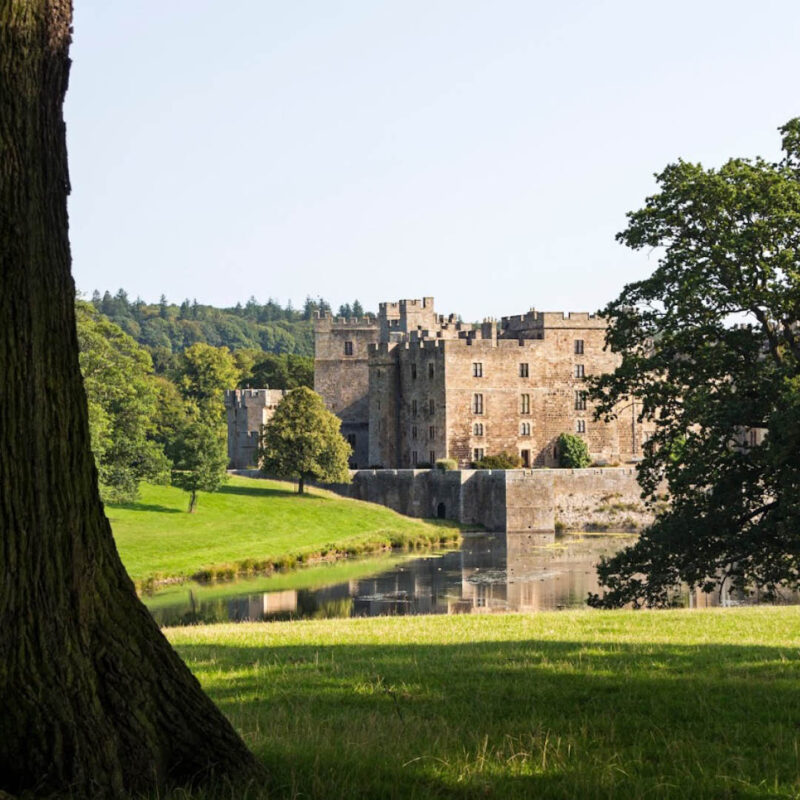 Raby Castle stands proudly amongst green trees and rolling parkland. A dark tree trunk emerges from one side of the image, as if the photographer is standing behind it peering out.