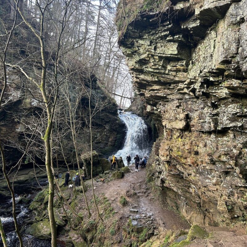Hareshaw Linn Walk 