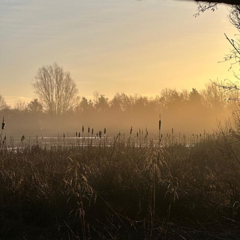 Rising Sun Country Park 