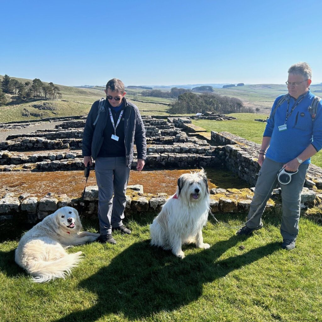 Hadrian's wall with the dogs
