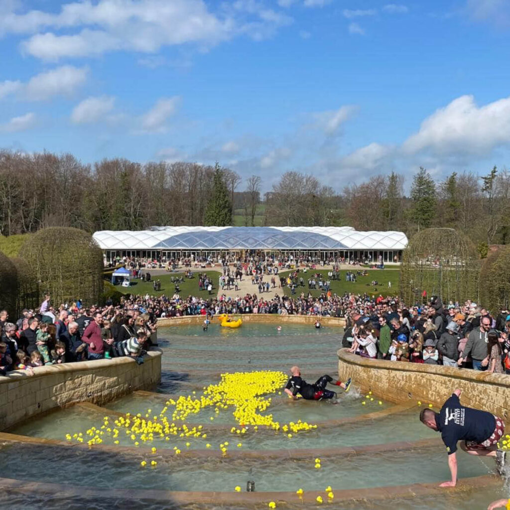 Hundreds of yellow rubber ducks cascade down a large water fountain at The Alnwick Garden.