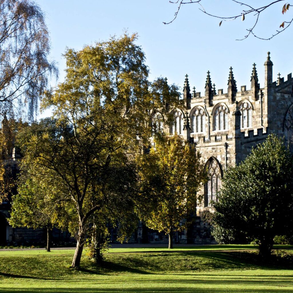 Auckland Castle - Durham’s Walk the Line