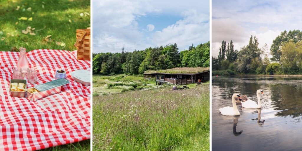 Bask and bite: 12 of the best picnic spots across the North East