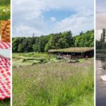 Bask and bite: 12 of the best picnic spots across the North East