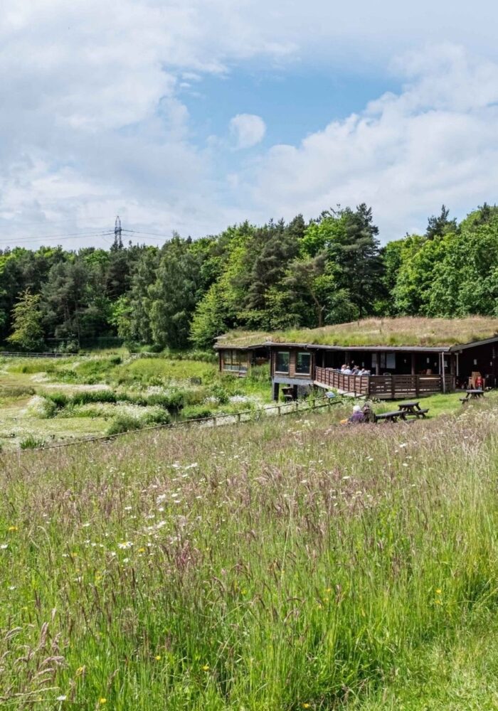 Bask and bite: 12 of the best picnic spots across the North East